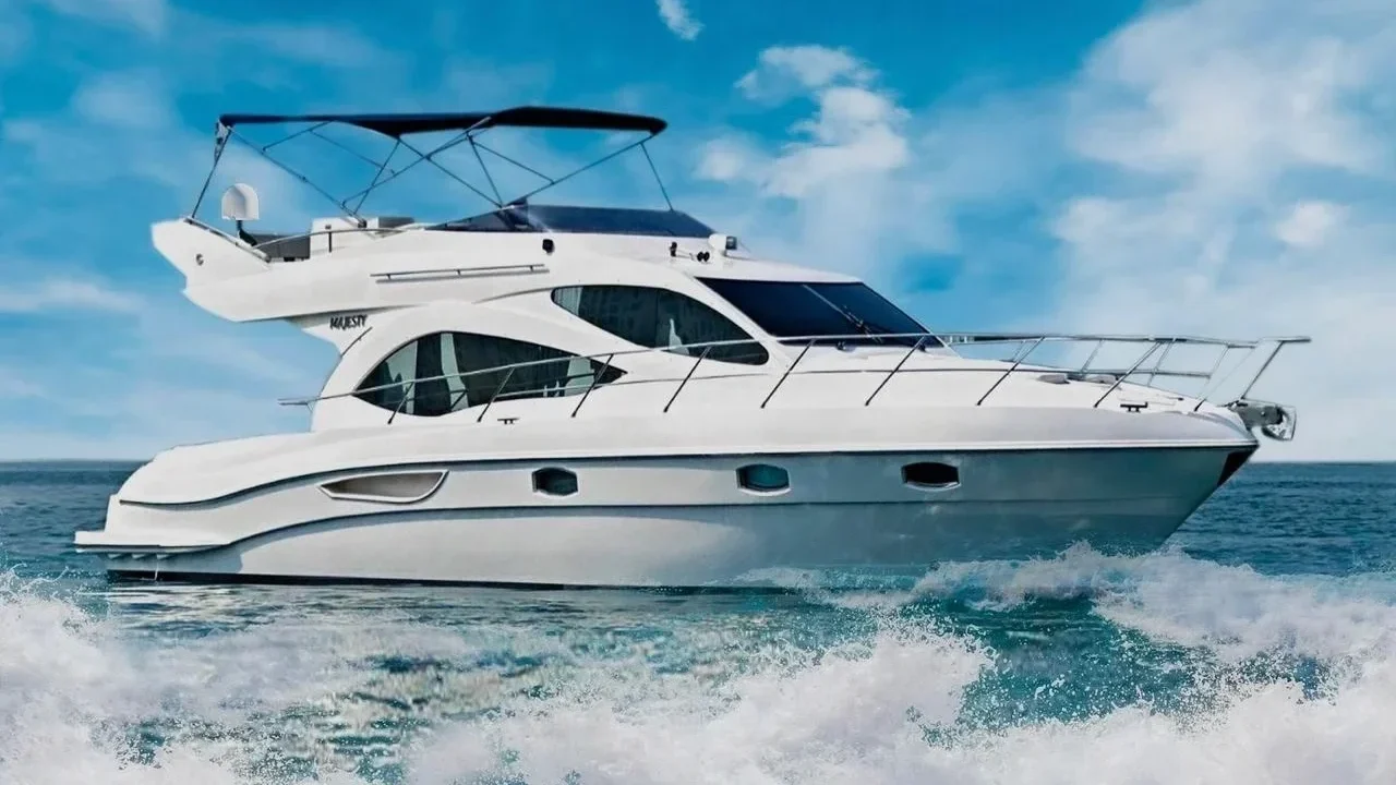 WhatsApp Image 2026-02-20 at 20.28.46