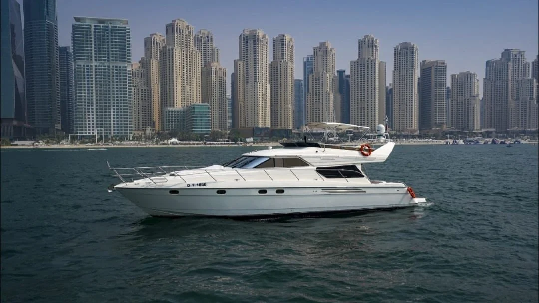 WhatsApp Image 2026-02-20 at 20.32.08 (1)