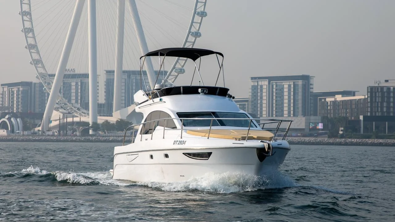 WhatsApp Image 2026-02-22 at 21.28.13