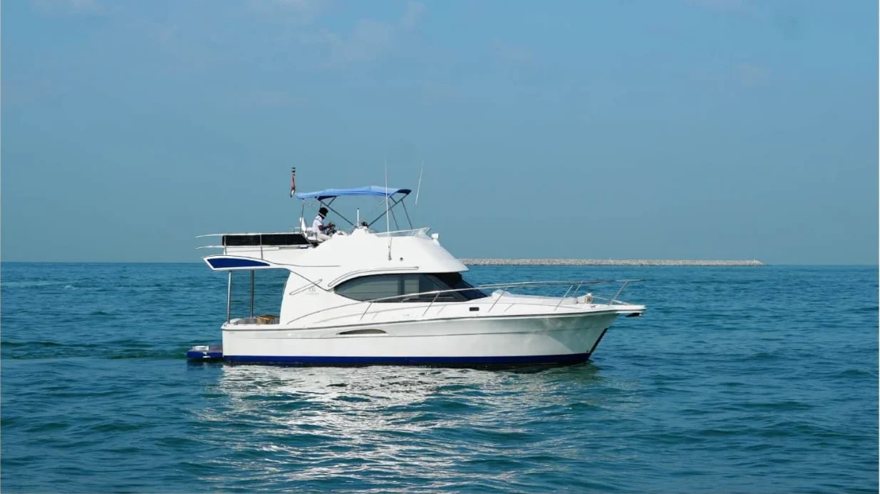 WhatsApp Image 2026-02-20 at 20.27.03 (1)