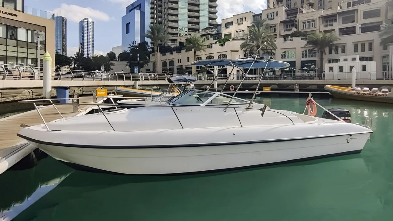 WhatsApp Image 2026-02-20 at 20.37.25 (1)