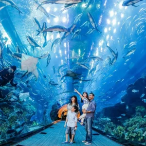 Dubai Aquarium & Underwater Zoo