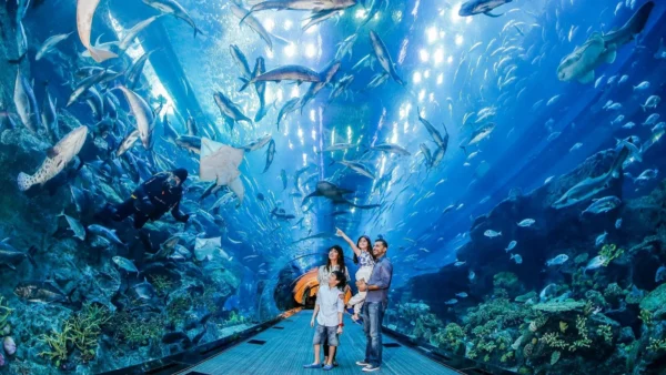 Dubai Aquarium & Underwater Zoo