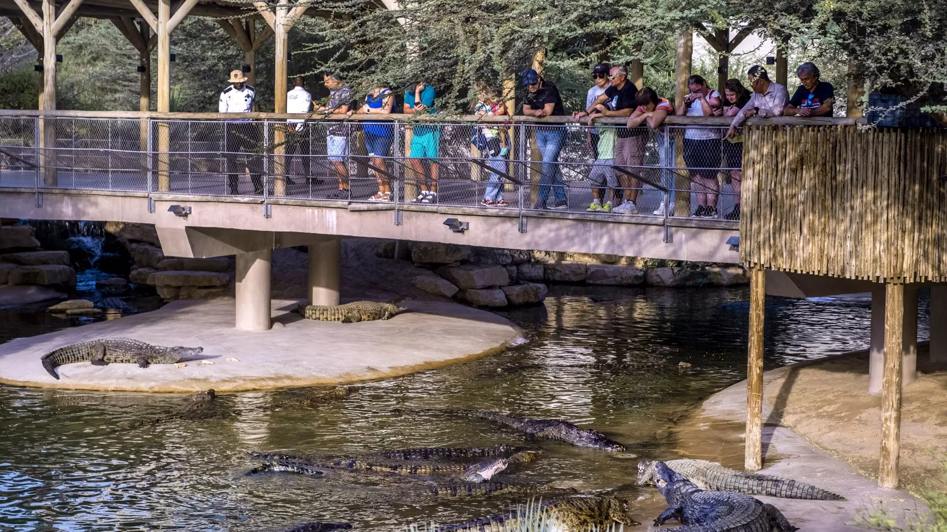 Dubai Crocodile Park - Image 5
