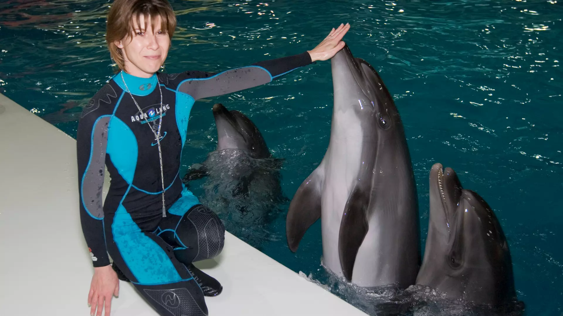 Dubai Dolphinarium - Image 2