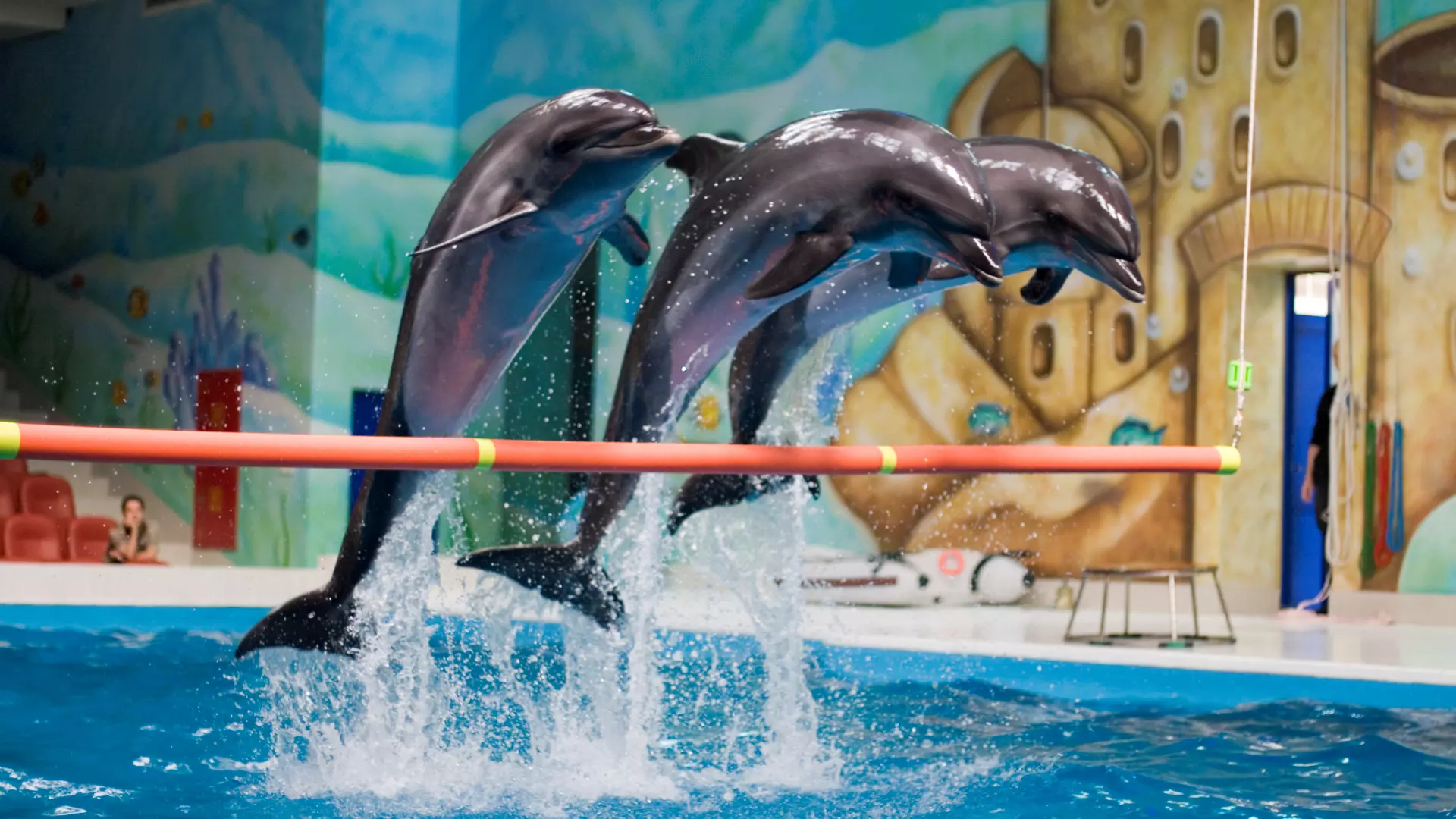 Dubai Dolphinarium