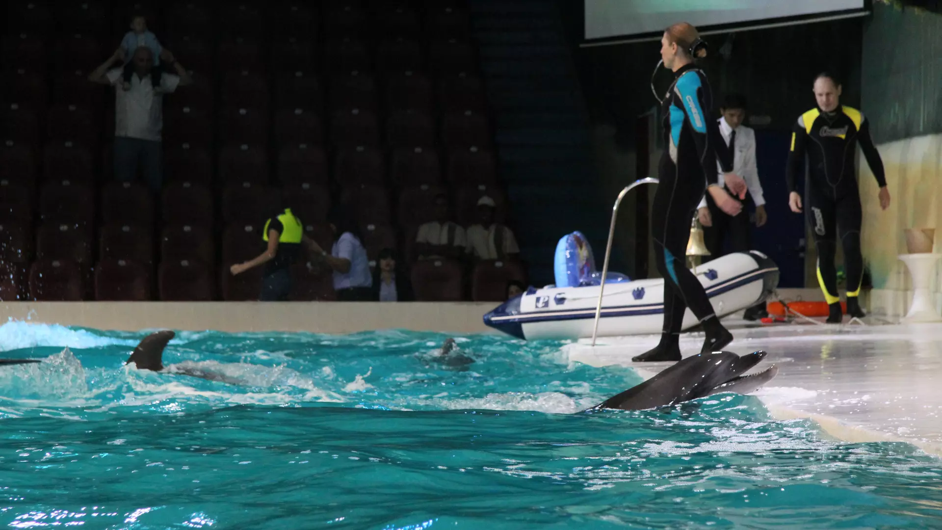 Dubai Dolphinarium - Image 9