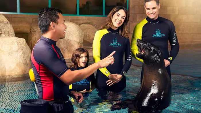 Dolphin Bay - Atlantis Dubai - Image 2