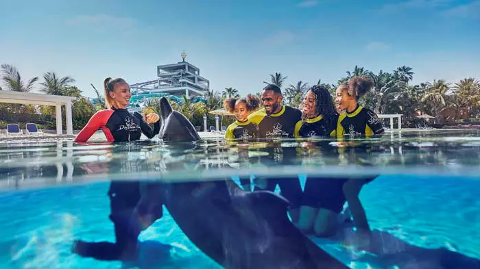 Dolphin Bay - Atlantis Dubai - Image 4