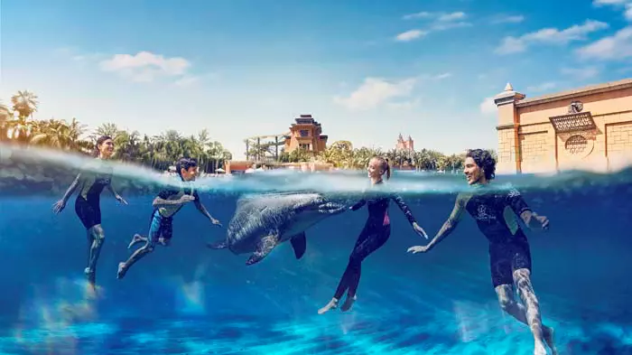 Dolphin Bay - Atlantis Dubai - Image 7