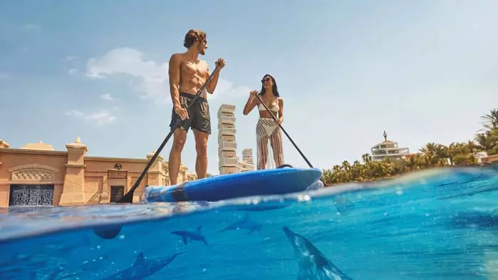 Dolphin Bay - Atlantis Dubai - Image 8