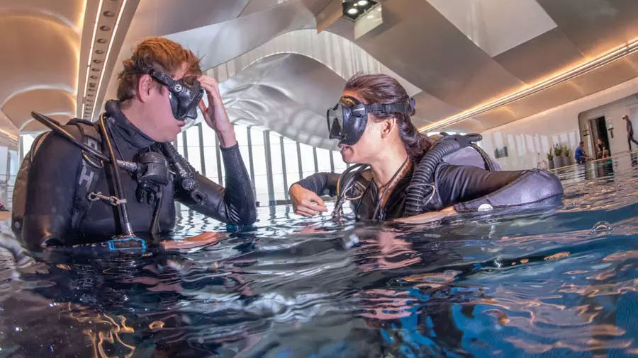 Deep Dive - Dubai - Image 3