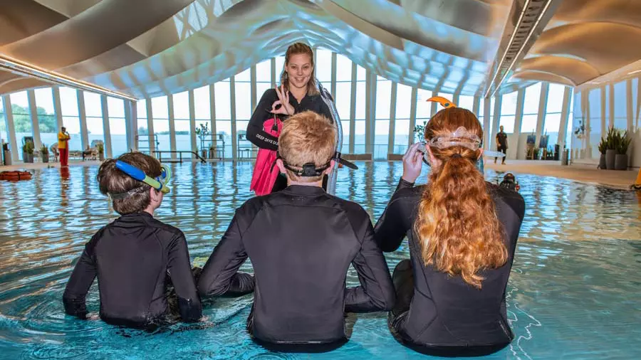 Deep Dive - Dubai - Image 9