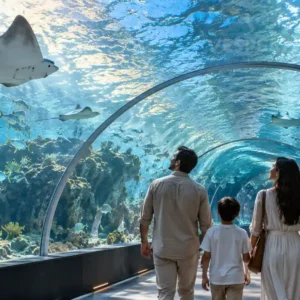 National Aquarium Abu Dhabi