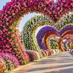 Dubai Miracle Garden