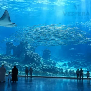 SeaWorld Yas Island Abu Dhabi