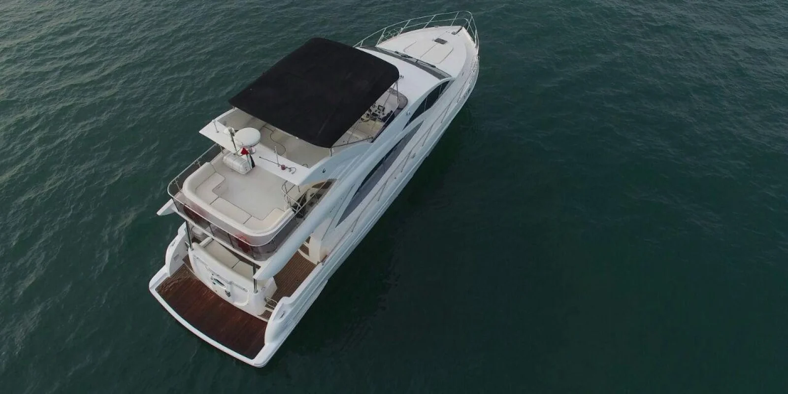 WhatsApp Image 2026-02-20 at 20.28.09 (2)