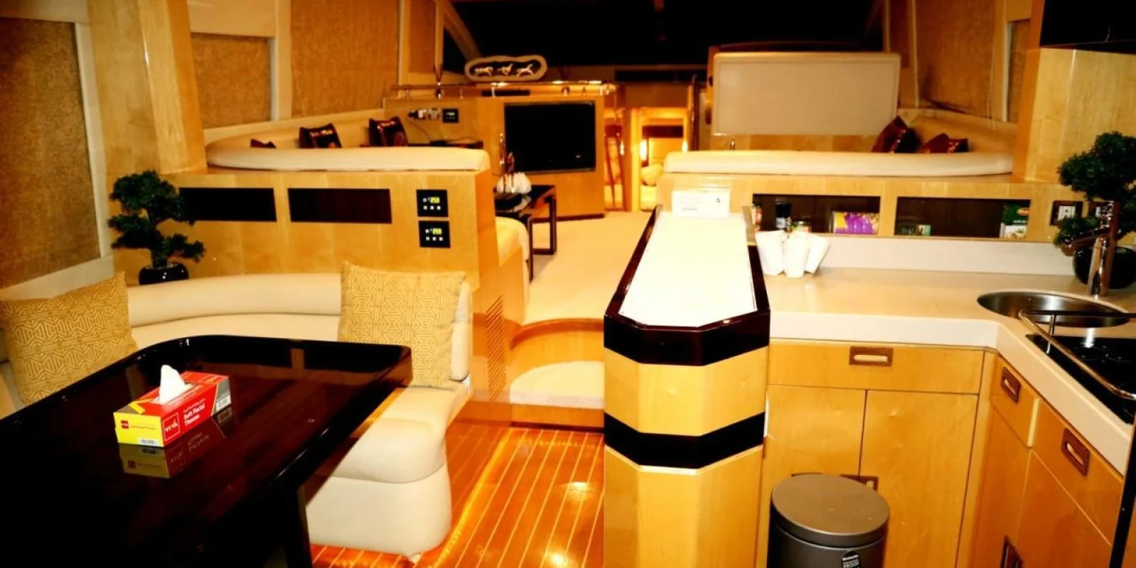 WhatsApp Image 2026-02-20 at 20.28.10