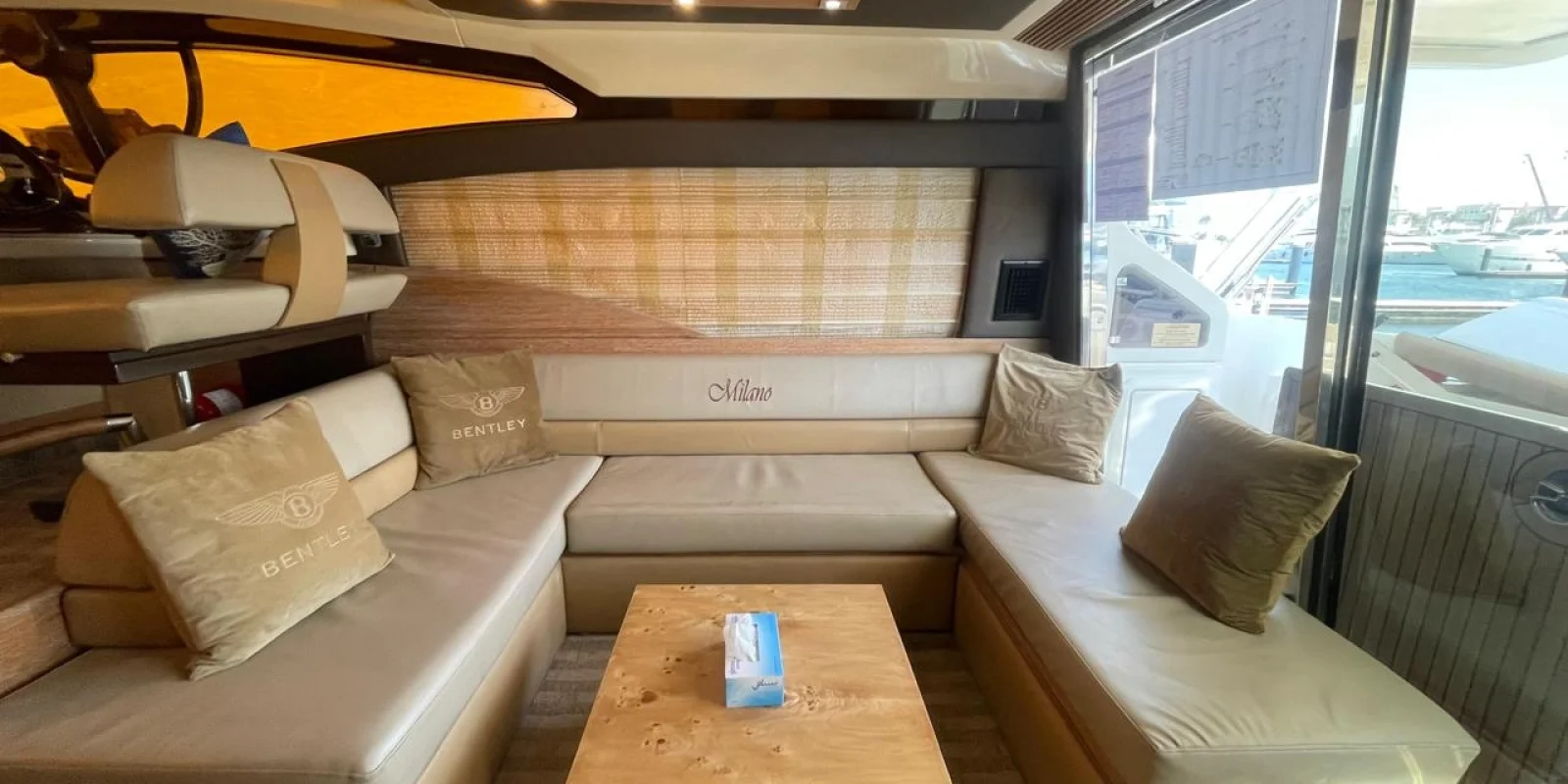 WhatsApp Image 2026-02-20 at 20.30.35 (1)