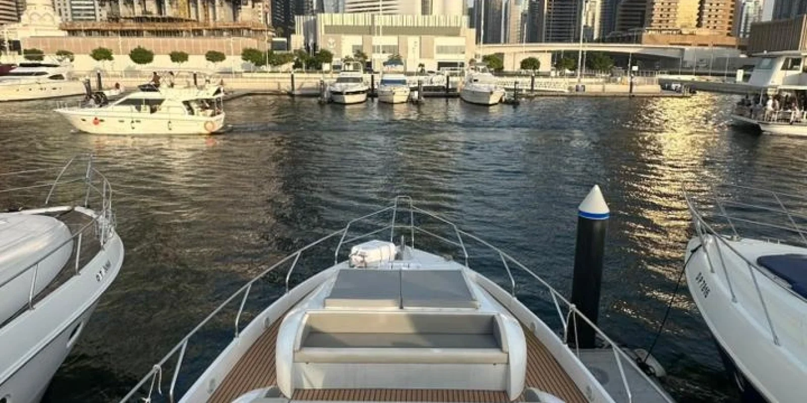 WhatsApp Image 2026-02-20 at 20.32.44