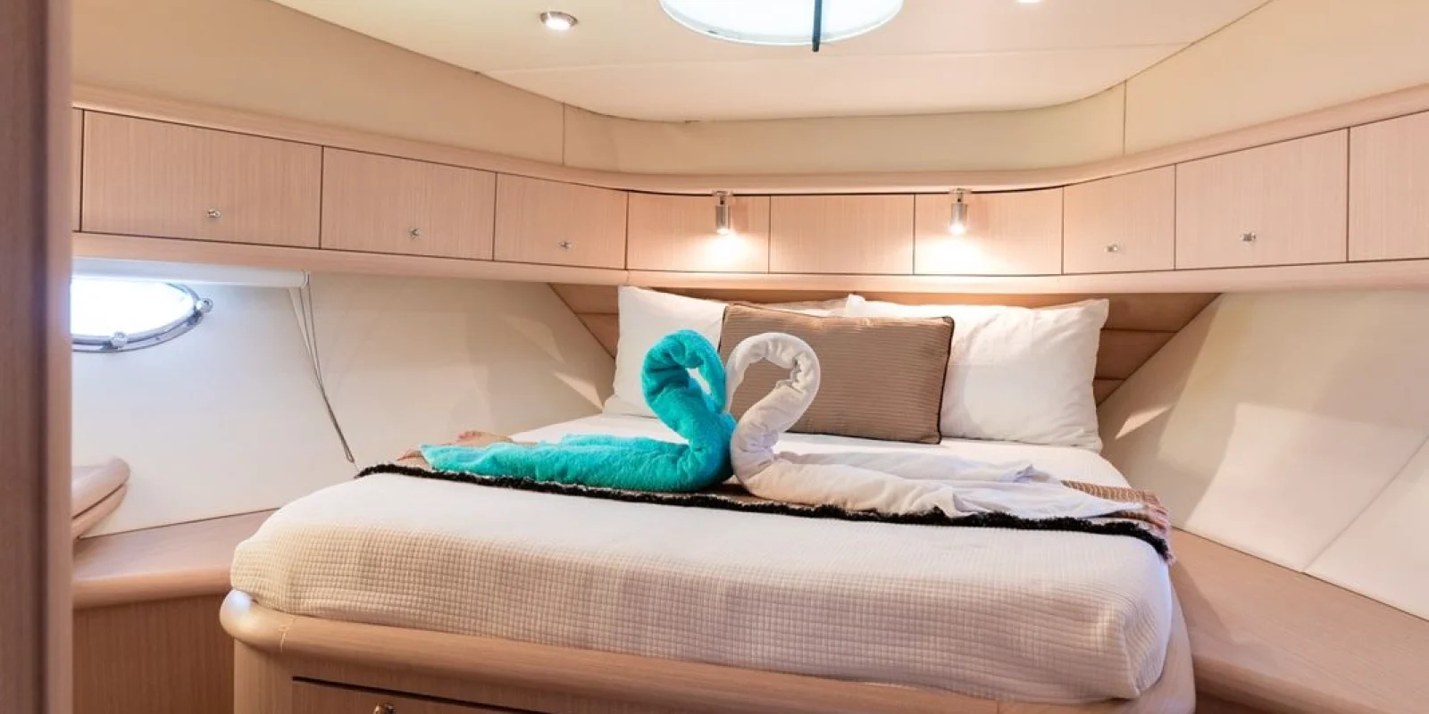 WhatsApp Image 2026-02-20 at 20.33.47