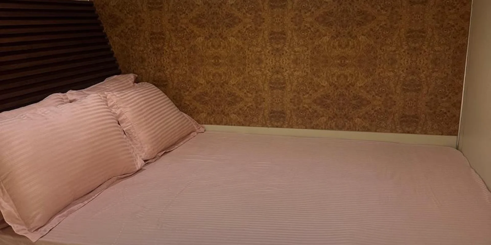 WhatsApp Image 2026-02-20 at 20.34.18