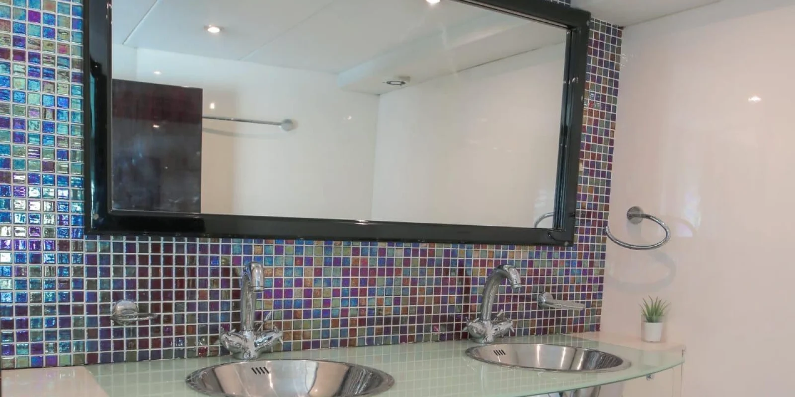 WhatsApp Image 2026-02-20 at 20.37.06