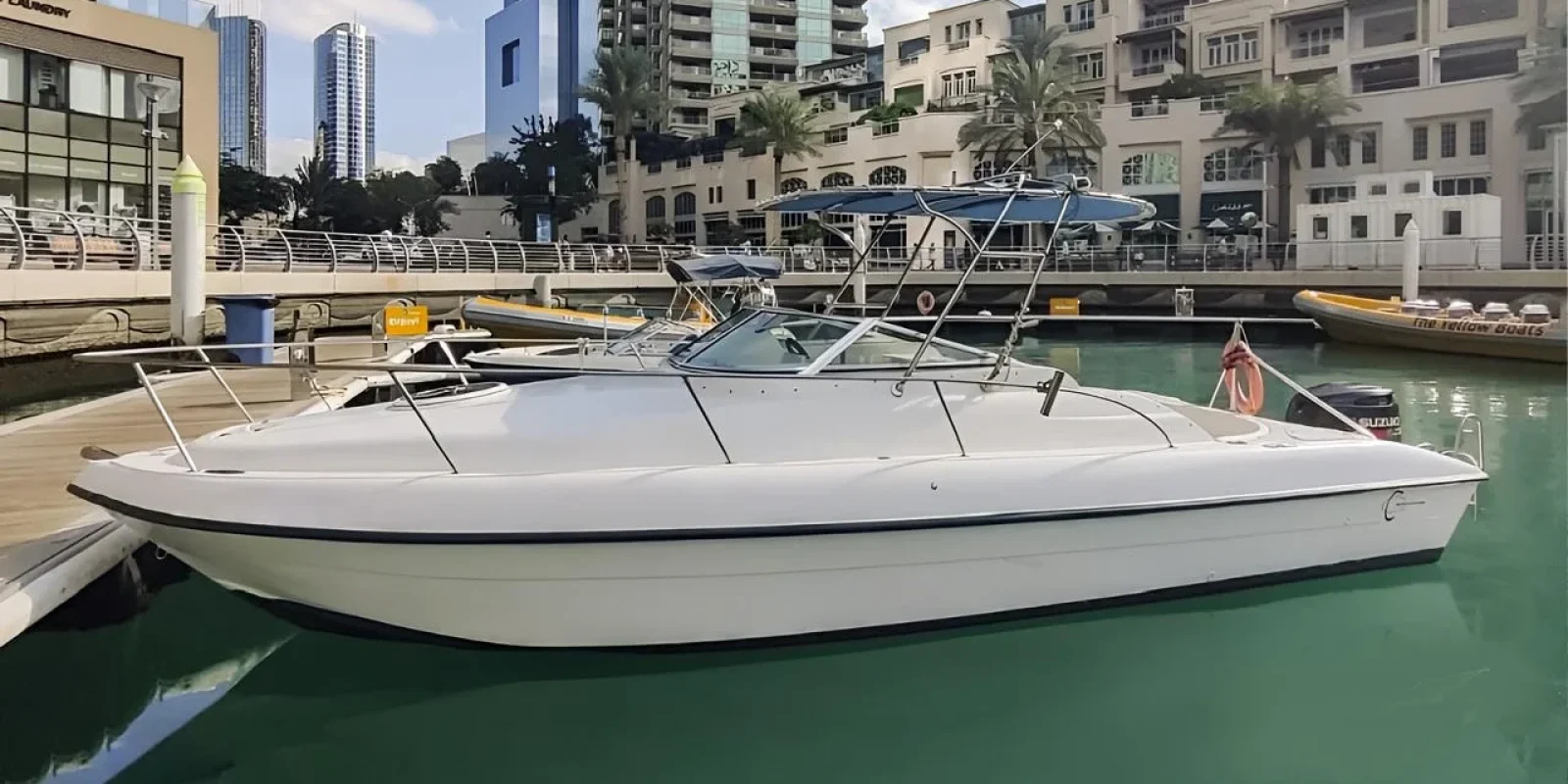 WhatsApp Image 2026-02-20 at 20.37.25 (1)