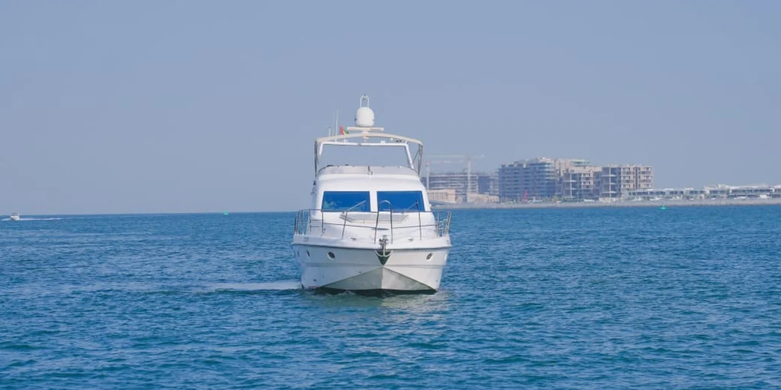 WhatsApp Image 2026-02-20 at 20.39.43 (1)