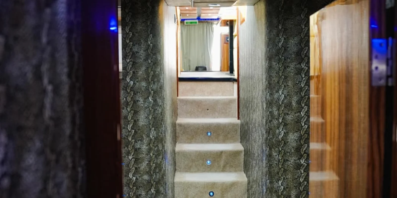 WhatsApp Image 2026-02-20 at 20.39.44