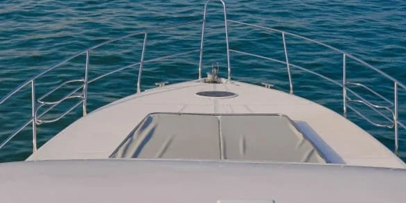 WhatsApp Image 2026-02-20 at 20.39.47