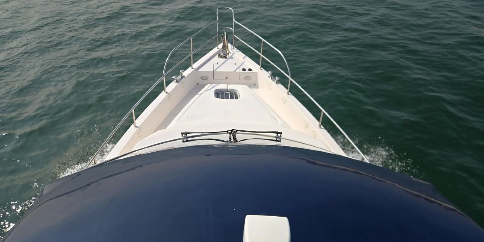 WhatsApp Image 2026-02-20 at 20.40.10