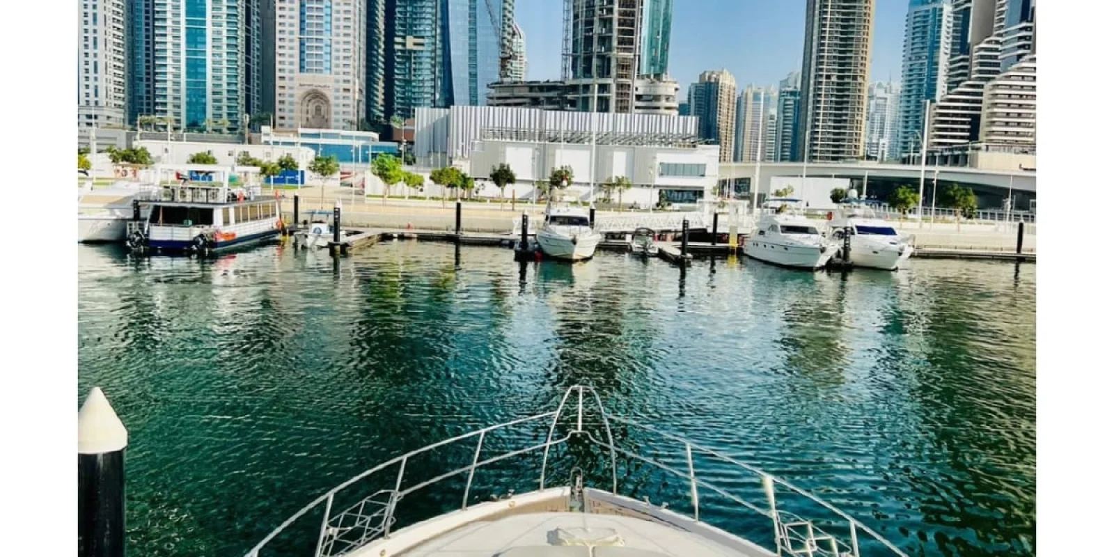 WhatsApp Image 2026-02-20 at 20.42.07 (1)