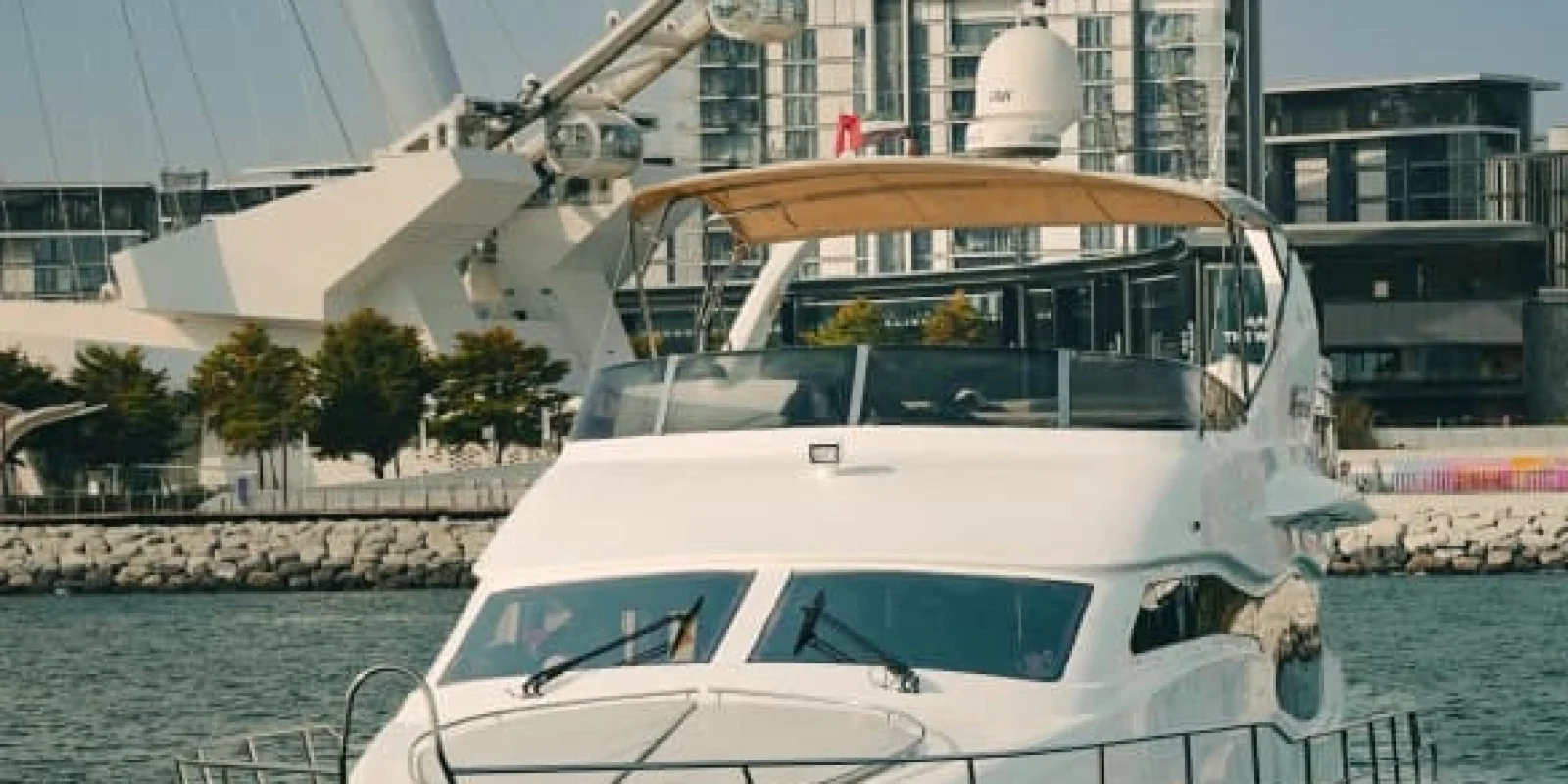 WhatsApp Image 2026-03-10 at 11.08.33 (3)