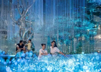 a-magical-and-wonderous