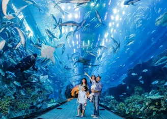 dubai-aquarium-underwater